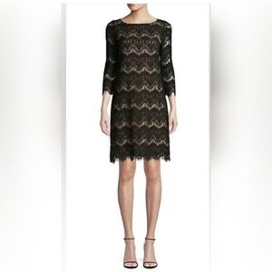 ELIZA J Lacy Bodycon Mini Shift Dress w Scoop Neck and 3/4 Sleeves Size 16